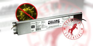 ESSENTIAL Fulham Product Categories Delineated & Developed