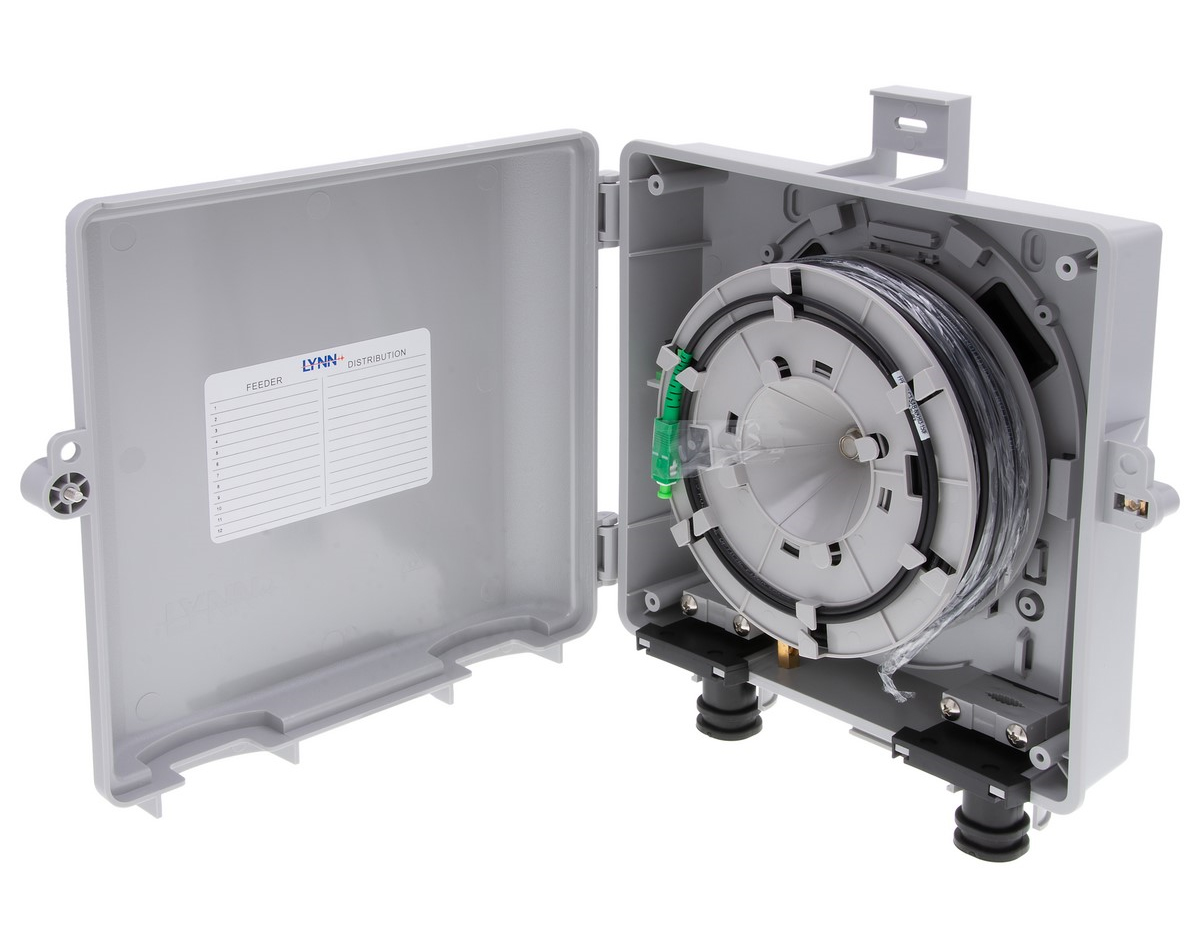 LYNN-TheNID-with-Reel