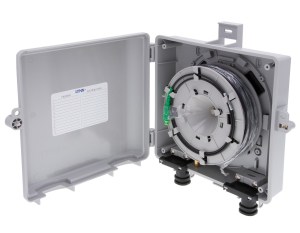 LYNN-TheNID-with-Reel