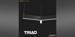 DECO Lighting Vector Triad Luminaire